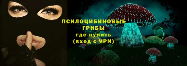 крисы Арсеньев