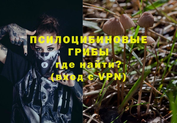 соль курить ск Аркадак