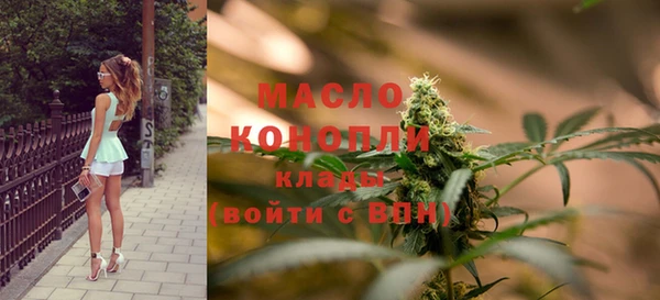 молекула духа Балахна