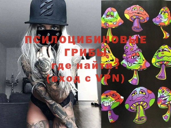 крисы Арсеньев