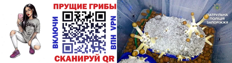 Галлюциногенные грибы Magic Shrooms  mega ONION  Саянск  где найти  